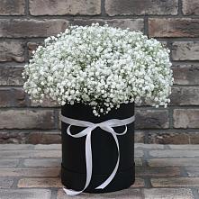 Цветочная композиция из Гипсофила в шляпной коробке в Авсюнино